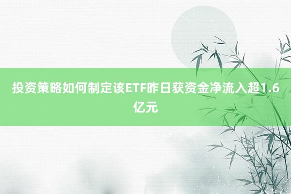 投资策略如何制定该ETF昨日获资金净流入超1.6亿元