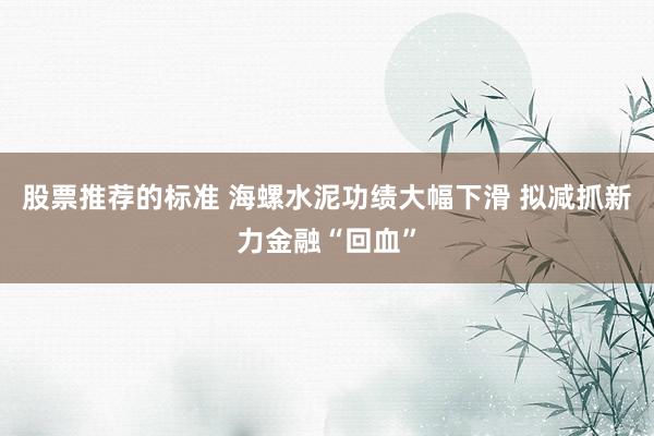 股票推荐的标准 海螺水泥功绩大幅下滑 拟减抓新力金融“回血”