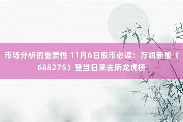 市场分析的重要性 11月6日股市必读：万润新能（688275）登当日来去所龙虎榜