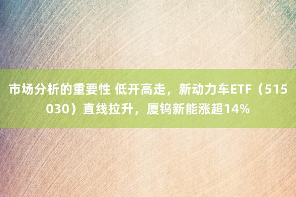 市场分析的重要性 低开高走，新动力车ETF（515030）直线拉升，厦钨新能涨超14%