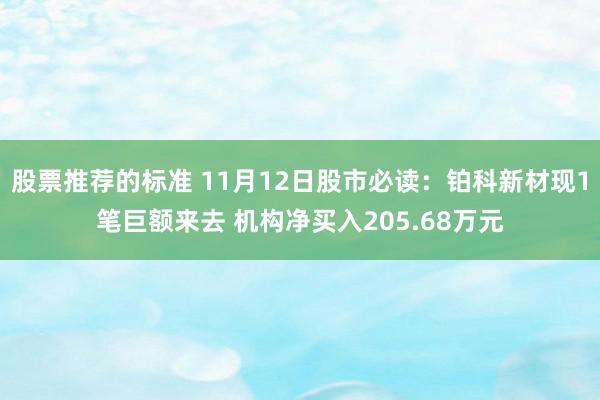 股票推荐的标准 11月12日股市必读：铂科新材现1笔巨额来去 机构净买入205.68万元