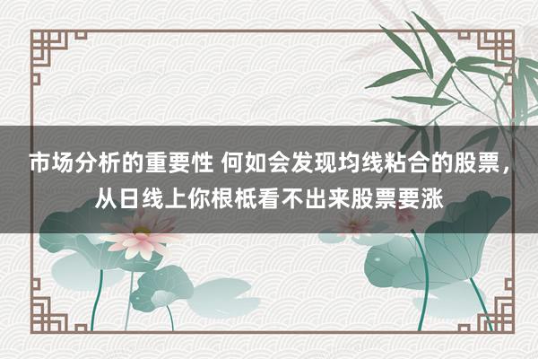 市场分析的重要性 何如会发现均线粘合的股票，从日线上你根柢看不出来股票要涨