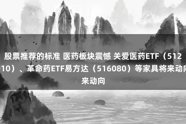 股票推荐的标准 医药板块震憾 关爱医药ETF（512010）、革命药ETF易方达（516080）等家具将来动向