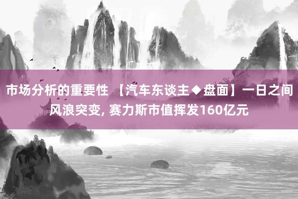 市场分析的重要性 【汽车东谈主◆盘面】一日之间风浪突变, 赛力斯市值挥发160亿元