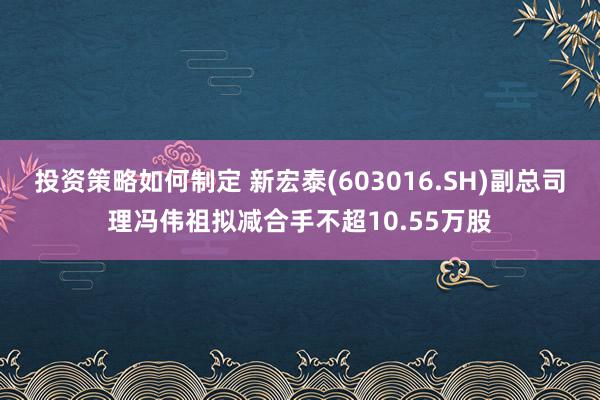 投资策略如何制定 新宏泰(603016.SH)副总司理冯伟祖拟减合手不超10.55万股