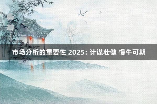 市场分析的重要性 2025: 计谋壮健 慢牛可期