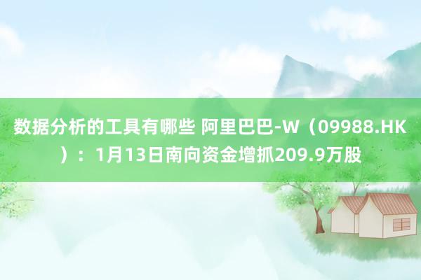 股票推荐的标准 阿里巴巴-W（09988.HK）：1月13日南向资金增抓209.9万股