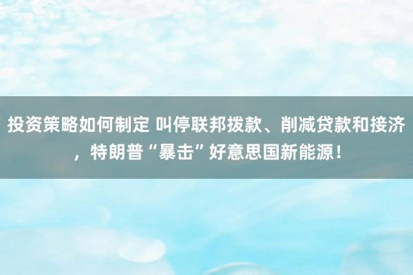 投资策略如何制定 叫停联邦拨款、削减贷款和接济，特朗普“暴击”好意思国新能源！