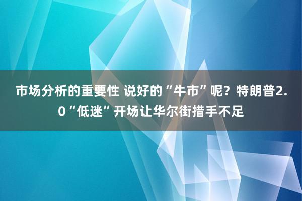 市场分析的重要性 说好的“牛市”呢？特朗普2.0“低迷”开场让华尔街措手不足