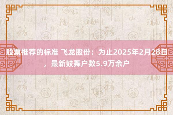 股票推荐的标准 飞龙股份：为止2025年2月28日，最新鼓舞户数5.9万余户