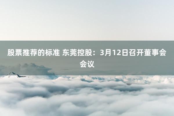 股票推荐的标准 东莞控股：3月12日召开董事会会议