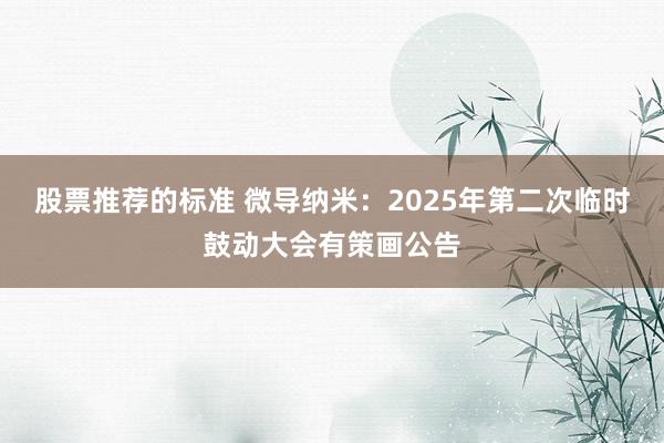 股票推荐的标准 微导纳米：2025年第二次临时鼓动大会有策画公告