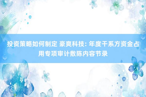 投资策略如何制定 豪爽科技: 年度干系方资金占用专项审计敷陈内容节录