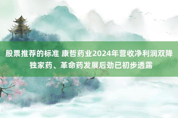 股票推荐的标准 康哲药业2024年营收净利润双降  独家药、革命药发展后劲已初步透露