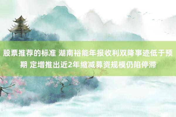 股票推荐的标准 湖南裕能年报收利双降事迹低于预期 定增推出近2年缩减募资规模仍陷停滞