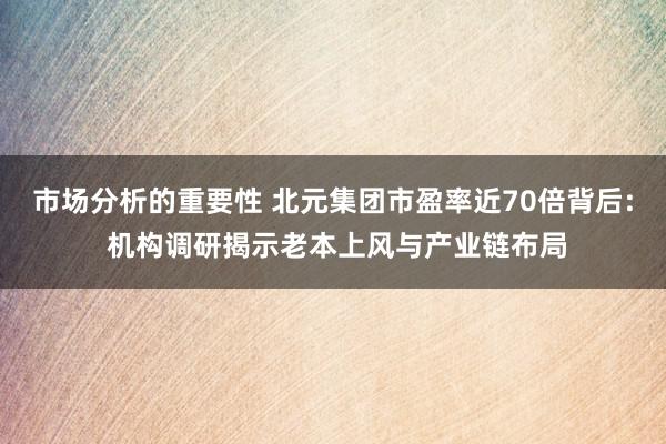 市场分析的重要性 北元集团市盈率近70倍背后: 机构调研揭示老本上风与产业链布局